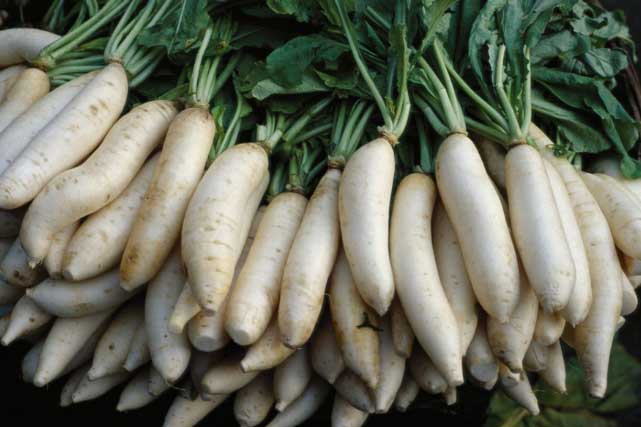 Ăn củ cải trắng theo cách này, mỡ thừa giảm ầm ầm, da lại hồng hào căng mịn