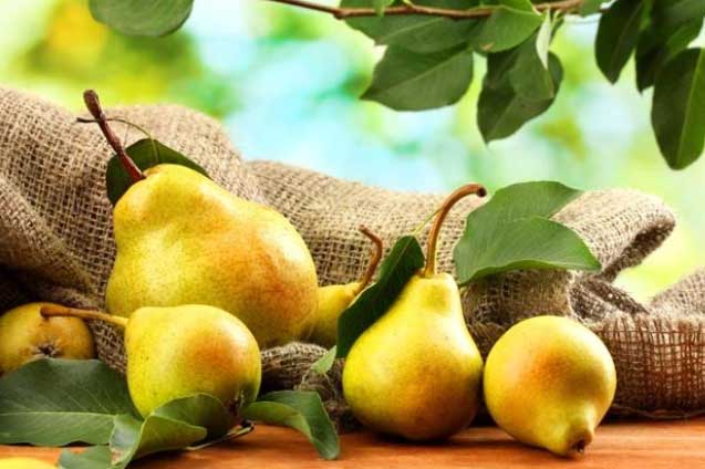 Mỗi ngày ăn một quả lê, vừa giúp giảm cân siêu tốc vừa cho da căng mịn- trắng hồng, cả người khoẻ mạnh