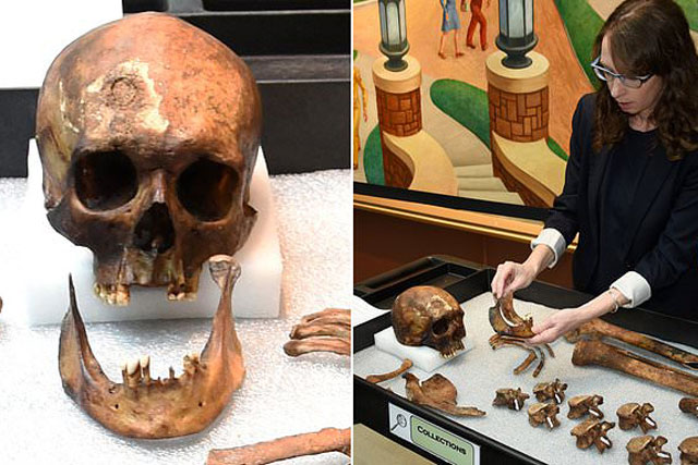 Chiêm ngưỡng "ma cà rồng" được hồi sinh từ mộ phần thế kỷ 18