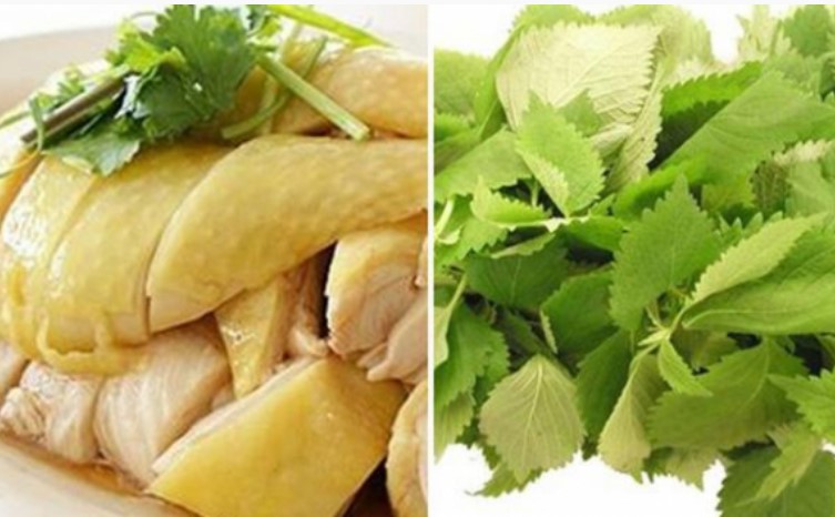 Thịt gà là thực phẩm ngon và bổ, nhưng nếu nấu chung với những thực phẩm đại kỵ sẽ gây hại cho sức khỏe.