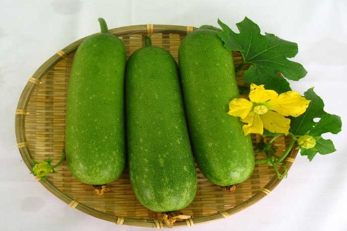 Bí đao cực rẻ nhưng có tác dụng thần kỳ với sức khỏe, tốt như "tiên dược"