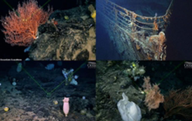 Sự thật choáng váng về hàng ngàn "hồn ma" cạnh xác tàu Titanic