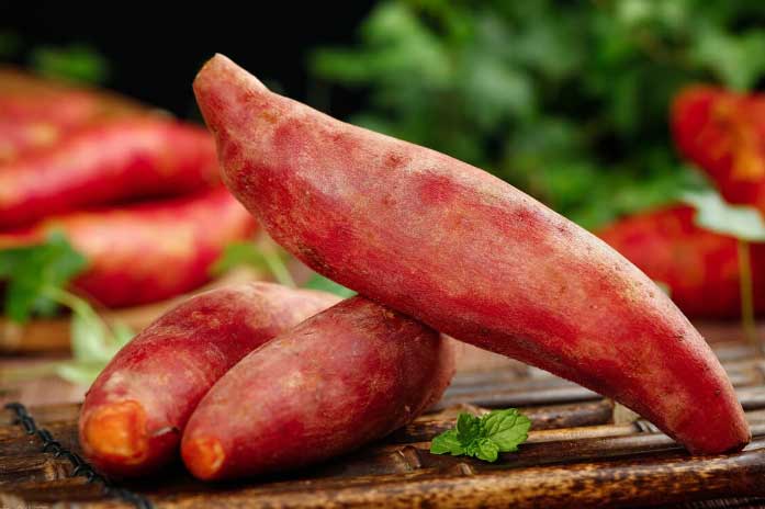 Ăn 1 củ khoai buổi sáng: Vừa giảm cân "siêu tốc" vừa mang lại "lợi ích vàng" cho cơ thể