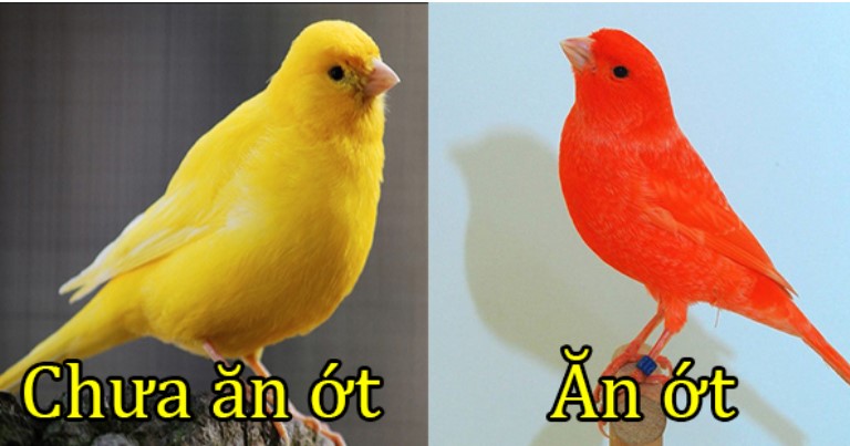 Những sự thật thú vị nhưng cũng rất khó tin trên thế giới có thể bạn chưa biết