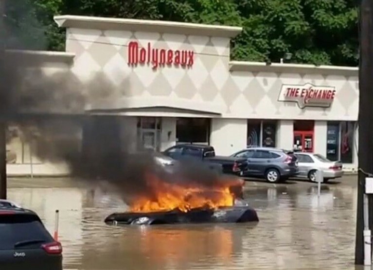 15 bức ảnh chộp đúng khoảnh khắc 'đen đủi nhất cuộc đời', mắc phải coi như cả ngày vứt đi