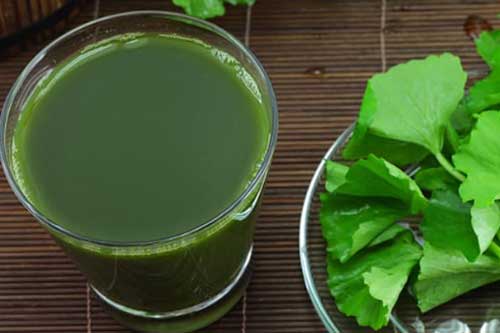 Độc đáo thứ rau dại mọc đầy bờ bụi nhưng có tới 6 công dụng với sức khỏe