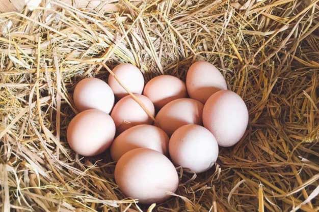 6 thực phẩm 'đại kỵ' tuyệt đối không được ăn cùng với trứng, số 1 người Việt vẫn đang làm