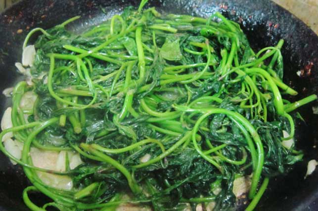 Loại rau là là "nhân sâm trường thọ" ở Nhật nhưng về" Việt Nam bán đầy ngoài chợ, ít người biết mà mua