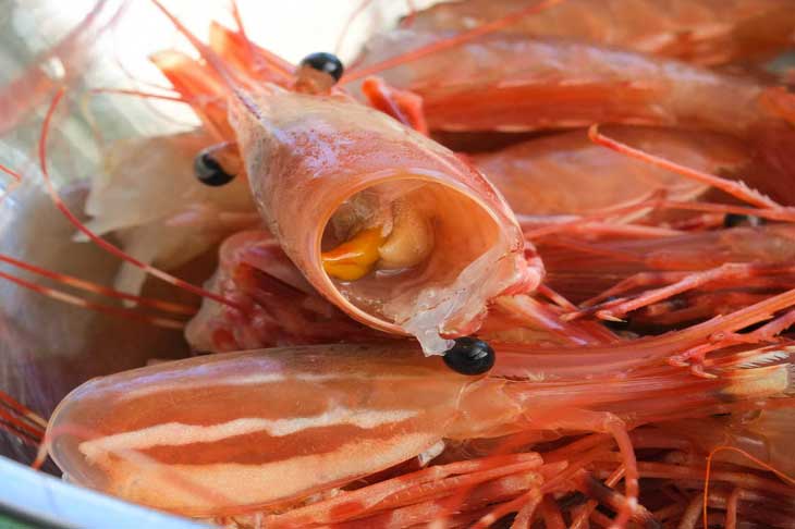 3 bộ phận của con tôm không nên ăn tích tụ kim loại nặng gây suy gan: Số 1 nhiều người tưởng đại bổ