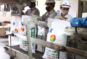 Phát triển và nhân rộng công nghệ sản xuất phân bón hữu cơ 