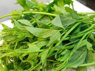 6 loại rau "bình dân" nhưng quý như nhân sâm giàu dinh dưỡng, ít phun thuốc trừ sâu