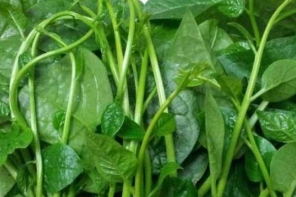 4 loại rau có khả năng trị mụn trứng cá tại nhà vô cùng hiệu quả