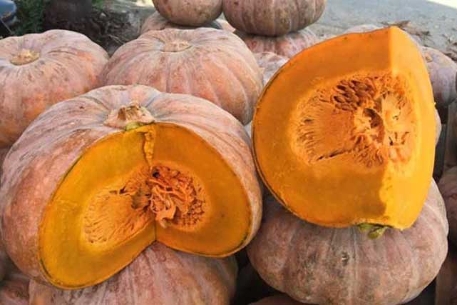 5 loại rau củ kẻ thù của người béo, gây tăng cân hơn cả thịt cá, nên tránh xa