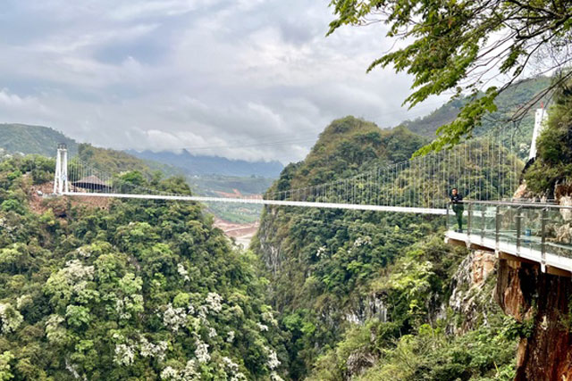 Đến Mộc Châu chiêm ngưỡng cây cầu đáy kính lập kỷ lục thế giới