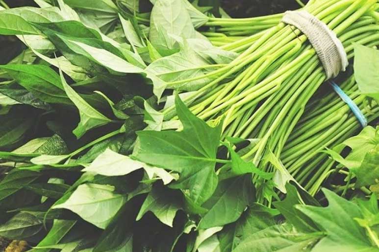 Rau lang và những tác dụng không ngờ đối với sức khỏe