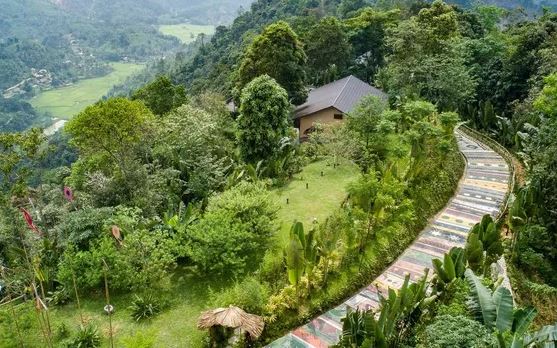 Những con đường được tín đồ du lịch đánh giá là đẹp nhất Việt Nam