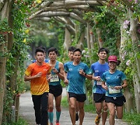 FESTIVAL TRE 2022: “Vì một triệu cây tre Việt” góp phần giảm thiểu khí hậu