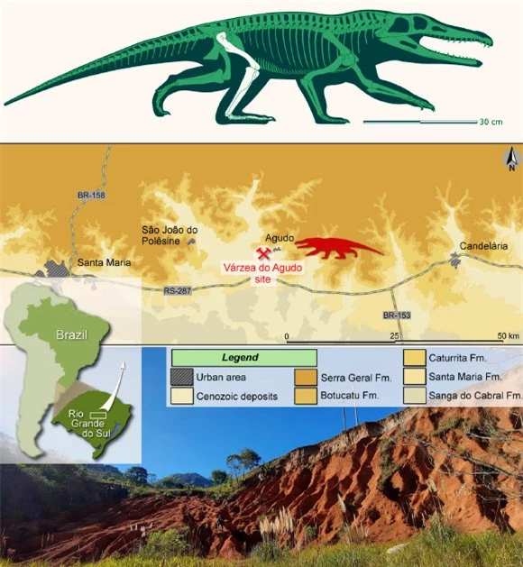 Lộ diện loài quái thú mới: Đầu cá sấu, chân như người, mình khủng long - Ảnh 1.