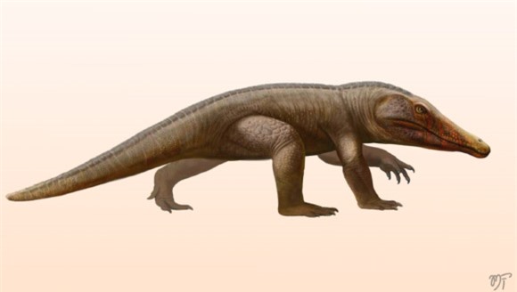 Lộ diện loài quái thú mới: Đầu cá sấu, chân như người, mình khủng long - Ảnh 2.