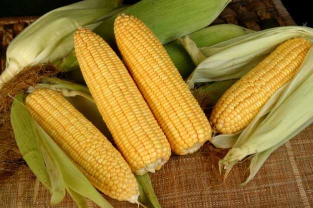 6 loại rau là ‘vựa protein’ ăn nhiều cơ săn chắc lại không lo tác dụng phụ