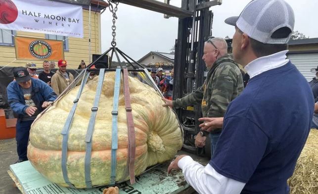 Bí ngô nặng hơn 1,1 tấn lập kỷ lục tại Mỹ