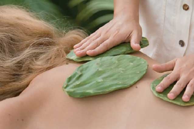 Mách bạn 4 cách chữa thoái hóa cột sống theo phương pháp dân gian, đem lại hiệu quả không ngờ