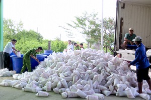 Bạc Liêu: Không có giấy kiểm dịch động vật, hơn 2 triệu con tôm giống bị tiêu huỷ