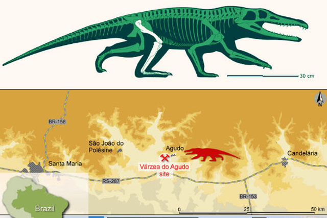 Lộ diện loài quái thú mới: Đầu cá sấu, chân như người, mình khủng long