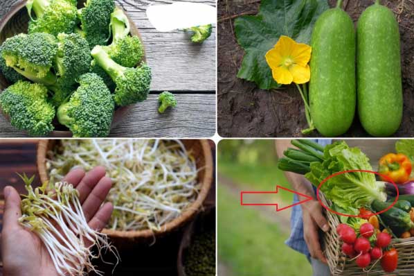 6 loại rau củ là “kho dưỡng chất” cho cơ thể, làm sạch đường ruột nhanh chóng