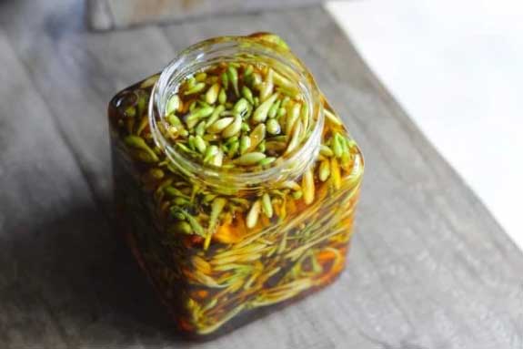 Hoa đu đủ đực ngâm cùng thứ này ‘quý như vàng’: Lợi ích tuyệt vời mà nhiều người chưa biết