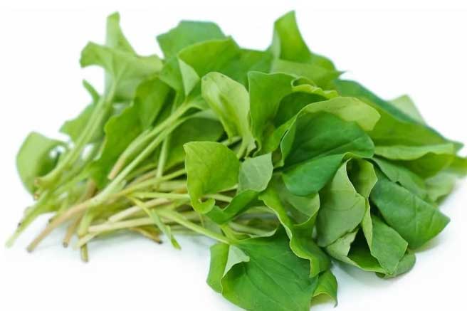 6 loại rau bán đầy chợ giúp thải cặn bã, dưỡng tử cung: Chị em chăm ăn để nội tiết dồi dào