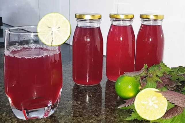 4 cách nấu nước lá tía tô giảm cân, đẹp da, tốt cho sức khỏe phụ nữ