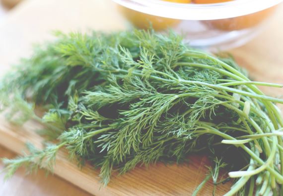 5 điều cần ghi nhớ để thanh lọc cơ thể