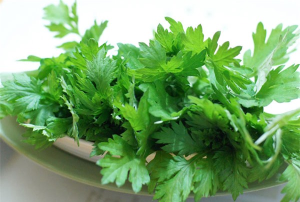 Sẹo bao nhiêu cũng chỉ cần dùng lá ngải cứu là khỏi