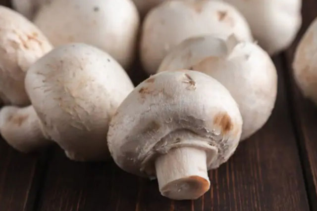 Có nên ăn nấm trong mùa mưa bão?