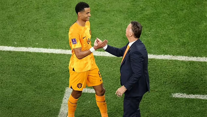 'Thần tài' Gakpo và sự lão luyện của Van Gaal cho thấy Hà Lan rất đáng sợ