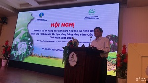 Nâng cao năng lực thích ứng biến đổi khí hậu của Hợp tác xã nông nghiệp