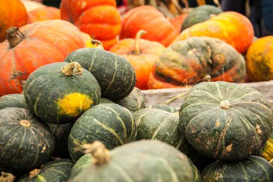 9 loại thực phẩm nên bổ sung trong mùa hanh khô để da được ẩm mịn mỗi ngày