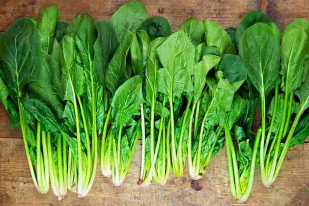 Loại rau đại bổ phụ nữ ăn vào đẹp da, đàn ông ăn vào chữa yếu sinh lý và hàng loạt lợi ích khác