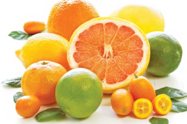 Điểm danh thực phẩm là nguồn collagen tự nhiên vừa đẩy lùi lão hóa vừa tốt cho cơ thể