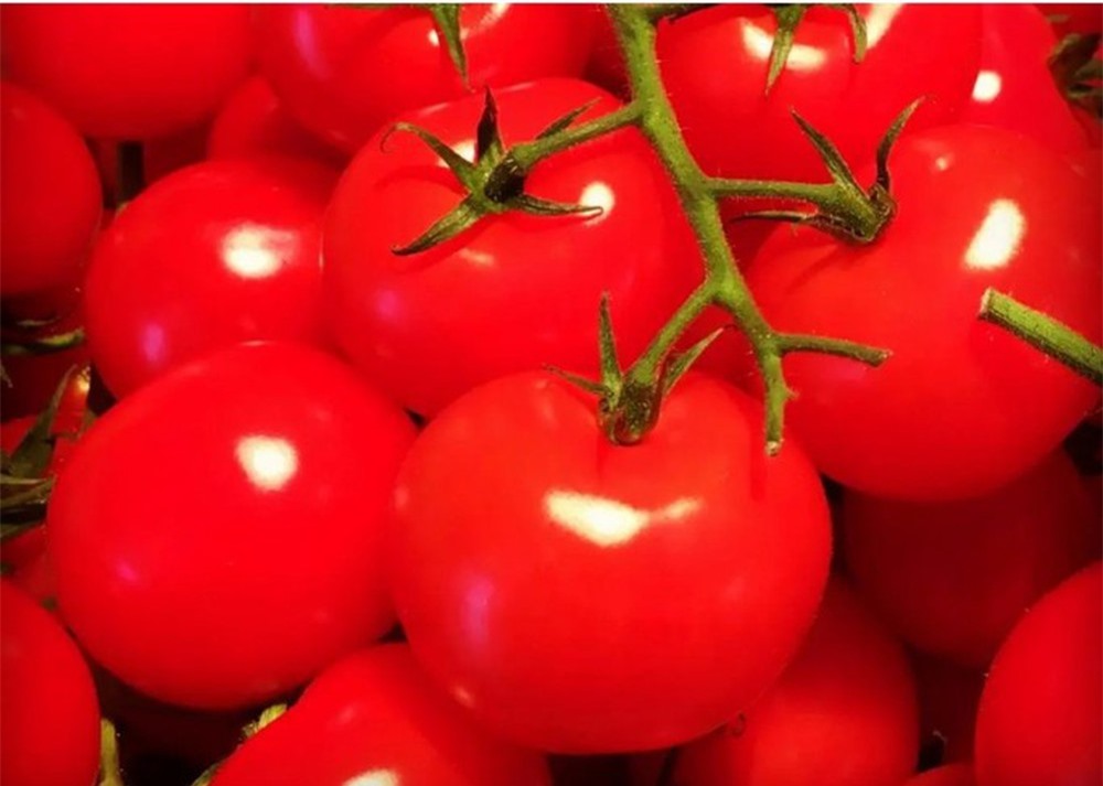 Ăn siêu thực phẩm cà chua, da đẹp, mắt sáng, chống ung thư - Ảnh 1.