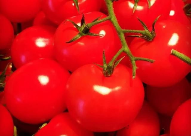 Ăn siêu thực phẩm cà chua, da đẹp, mắt sáng, chống ung thư