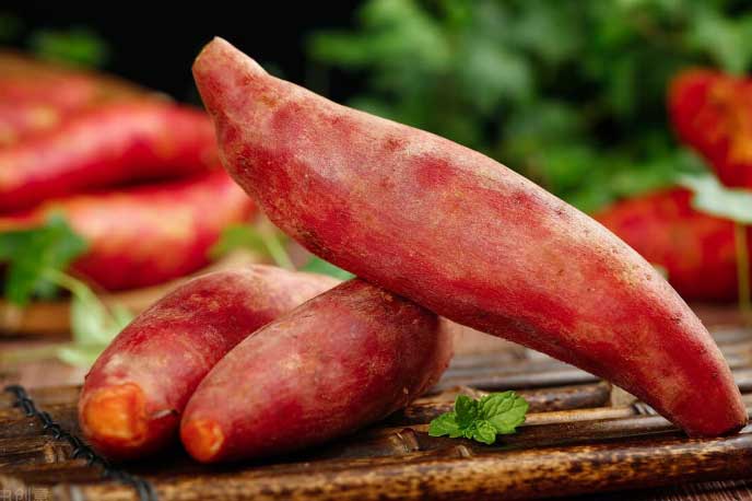 Vì sao các chuyên gia sức khoẻ khuyên bạn dù thích hay không cũng nên ăn khoai lang đều đặn?