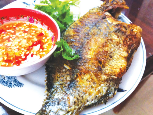 Sai lầm nghiêm trọng khi ăn cá bạn phải dừng lại ngay