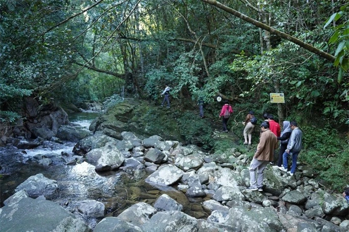 Mùa thu trên đỉnh Bạch Mã - Ảnh 2.