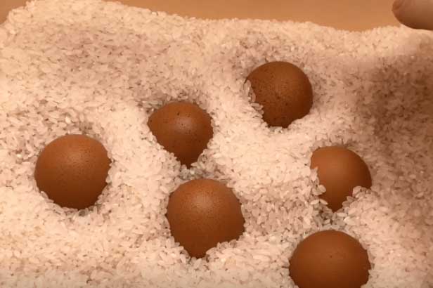 Đừng cho trứng vào tủ lạnh: Đây là cách bảo quản trứng cả nửa năm vẫn giữ nguyên chất bổ