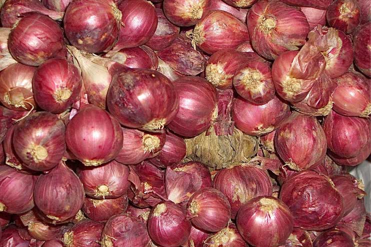 Bảo quản hành tím đừng cho vào túi, làm theo cách này để cả năm cũng không bị hỏng, mốc