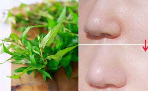 Se lỗ chân lông chỉ với loại rau rẻ tiền chưa hết 1000 đồng