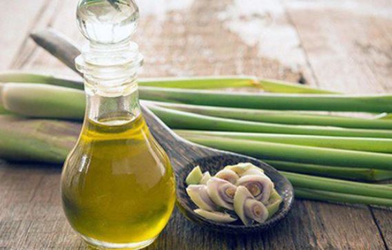 Đem sả ngâm vào giấm, sau 3 tuần có ngay lọ ‘nước thần’ mang đến công dụng bất ngờ