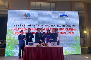 Trồng cây trung hòa carbon hướng đến mục tiêu Net Zero